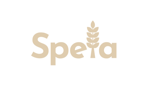 Proiect Acasa fotografie numarul 3